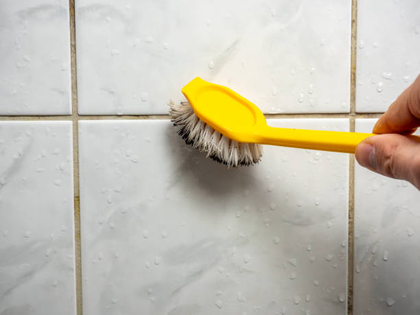 Best Commercial Mold Removal  in Santa Clarita, CA