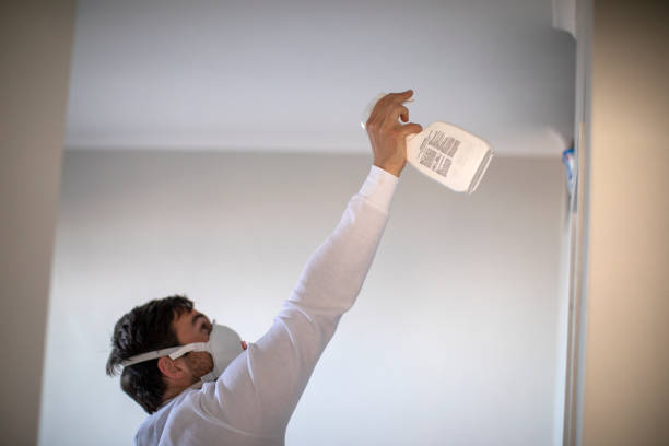Best Attic Mold Removal  in Santa Clarita, CA