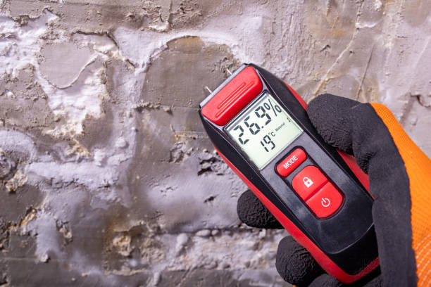 Best Mold Removal Near Me  in Santa Clarita, CA