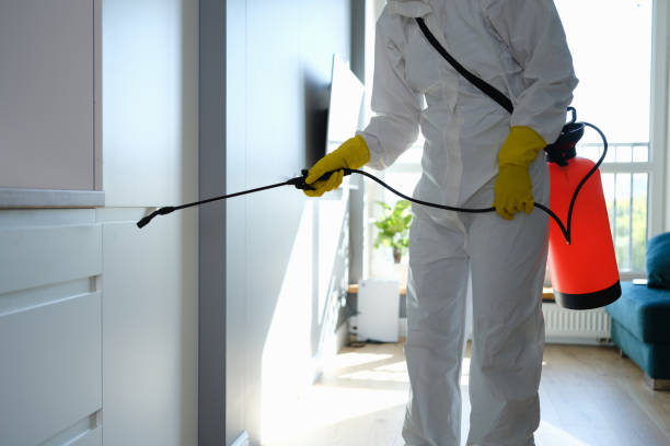 Best Mold Testing  in Santa Clarita, CA