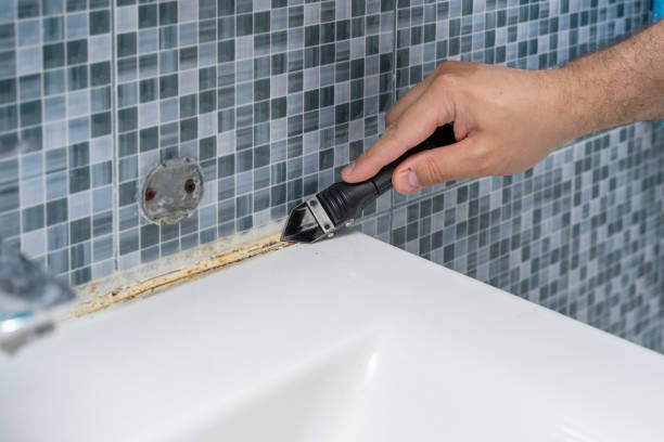 Best Toxic Mold Removal  in Santa Clarita, CA