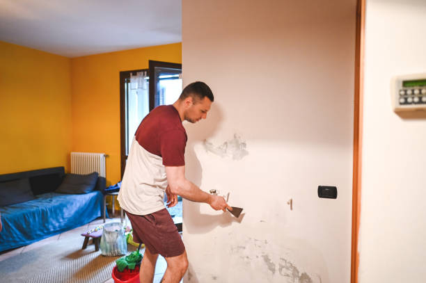Best Residential Mold Removal  in Santa Clarita, CA